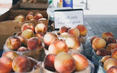 What’s In Season?