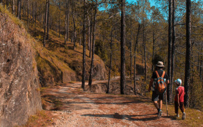 Easy Hikes For The Family